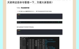 Linux命令行SSH代理如何配置使用？