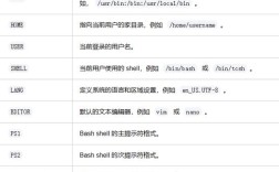 如何正确设置与运行环境变量命令？