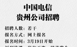 电信招聘有何魅力,吸引人才加入?