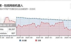 项目访问量设计该聚焦哪些关键指标？