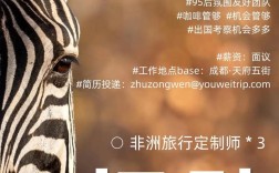 成都DSP招聘，薪资多少？