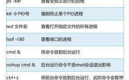 进程隐藏命令有哪些？如何使用？