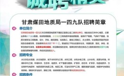 甘肃LTE招聘有何具体要求？