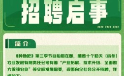 爱奇艺招聘网，是官方入口还是第三方平台？