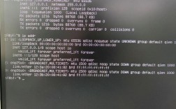 Linux ls命令为何找不到？