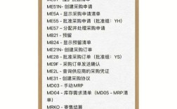 SAP常用命令有哪些？