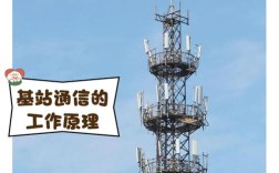 手机站代搭建，手机站代搭建怎么选？