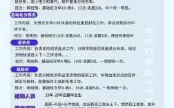 招聘信息脚本，招聘信息脚本如何高效吸引候选人？