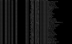 Linux命令l有哪些常用选项和功能？