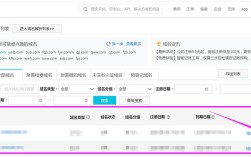 如何查自己买的域名?
