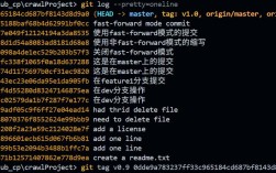 zi gy命令行选项为何不兼容？