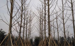 燕丰收衡水网站建设有何优势？