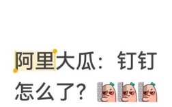 阿里丁丁招聘，具体岗位有哪些要求？