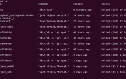 Ubuntu命令行字体如何更换？