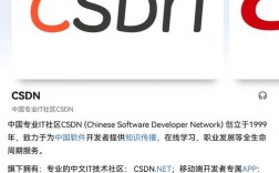 CSDN招聘什么岗位?要求有哪些?