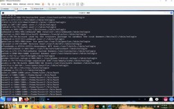 命令行如何启动server服务？