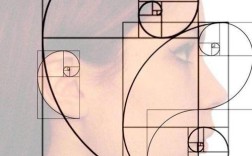 黄金分割比例具体怎么用？