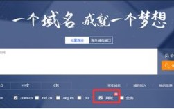 易名中国域名转出步骤详解？