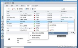ESXi命令行如何启动虚拟机?