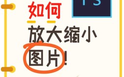 PS图片如何自由缩放?