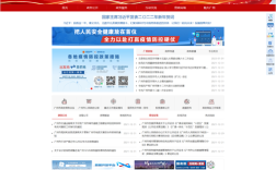 政府网站信息发布如何更高效规范？