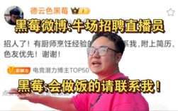 黑莓公司招聘，黑莓公司招聘什么岗位？