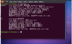 unix ip命令如何快速掌握与使用？