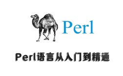 perl 语言 招聘，Perl语言招聘，需求与现状如何？