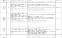 硕士SSP招聘，是岗位还是项目？