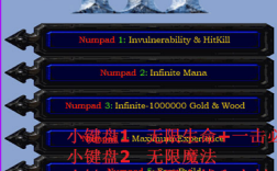 魔兽争霸3冰封王座命令有哪些?