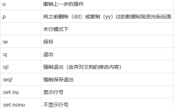 Vim 编辑器常用命令有哪些？新手如何快速上手？