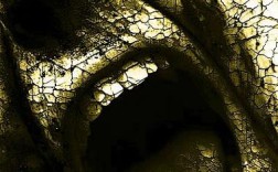 PS龟裂效果怎么做？