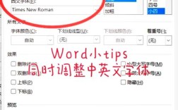 genesis默认字体怎么设置？