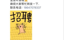 币乎招聘，具体岗位和要求是什么？