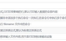 炉石额外命令行参数在哪设置？怎么用？