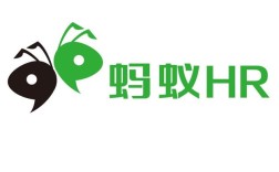蚂蚁招聘 融资，蚂蚁招聘融资，钱将投向何方？