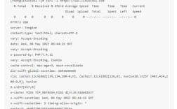 curl命令返回了什么？