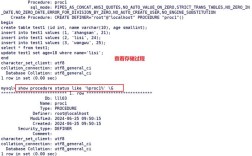 SQL存储过程参数如何设定？