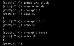 shell命令如何赋值给变量？