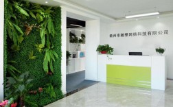 衢州网络公司网站建设，如何提升企业线上竞争力？