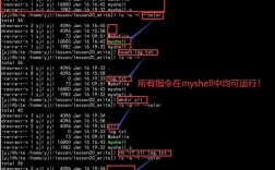 Shell查找命令行有哪些常用技巧？