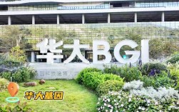 华大基因为何选网站建设公司？