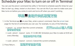 自动关机命令如何取消？