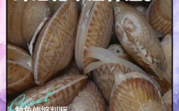 花甲怎么挑？教你辨死活！