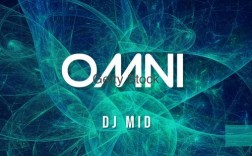 omni招聘岗具体职责和要求是什么？