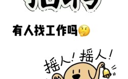 cotlo招聘有何具体职位和要求？