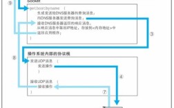 如何查询域名的DNS配置命令？