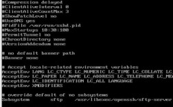 ssh搜索命令有哪些常用选项？