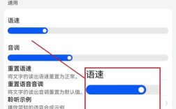 语音输入如何自动改小写?