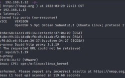 端口扫描DOS命令如何操作？